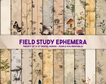 Field Study Ephemera - Vintage botanical journal pages, apothecary paper ephemera, naturalist illustrations, herbal study printable pack