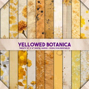 Botanica jauni - papier numérique floral jaune vintage, kit de journal indésirable botanique doré, pages éphémères ocre, téléchargement immédiat
