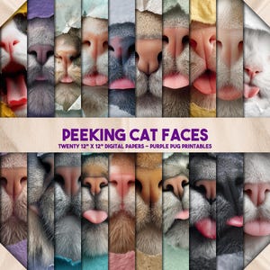 Op de afbeelding: Een verzameling van twintig digitale papieren, elk met een close-up van een kattengezicht. De afbeeldingen tonen verschillende kattenneuzen en -tongen, met een verscheidenheid aan vachtkleuren en texturen. De tekst luidt "PEEKING CAT FACES" en "TWENTY 12" X 12" DIGITAL PAPERS - PURPLE PUG PRINTABLES."