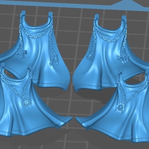 Silver Warden Capes