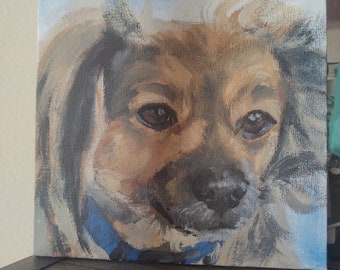 Custom Pet Portrait Oil Painting