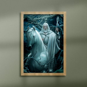 Lord Of The Rings The Fellowship Of The Ring Mini Poster Limited Signature  Edition Custom Frame