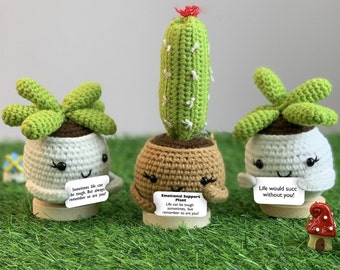 Emotional Support Succulent Plants, Handmade Cheer Up Gift for Family/Friends, Crochet Cactus Cacti Flower, Desk Ornament, Mothers Day Gifts