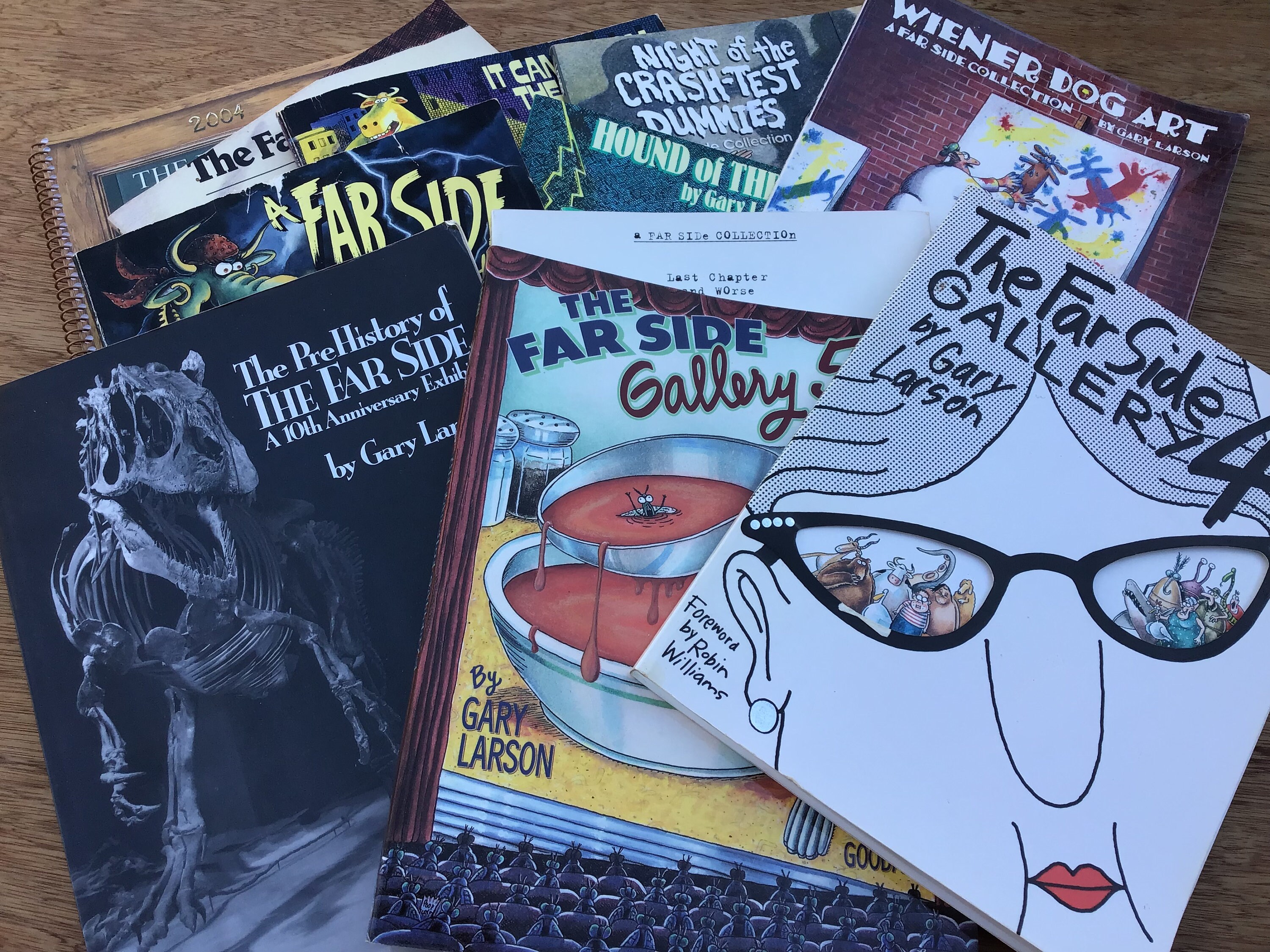 Far Side Calendar - Etsy