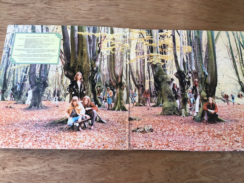 May include: A vintage vinyl record album cover featuring a group of people standing in a woodland. The album cover is titled "Crimson & Clover" by "Tommy James & The Shondells".