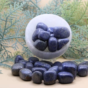 May include: A display of tumbled lapis lazuli stones, in shades of deep blue. The stones are presented in a white bowl and scattered on a beige surface. Green foliage forms a backdrop, accentuating the stones' natural colours and textures.