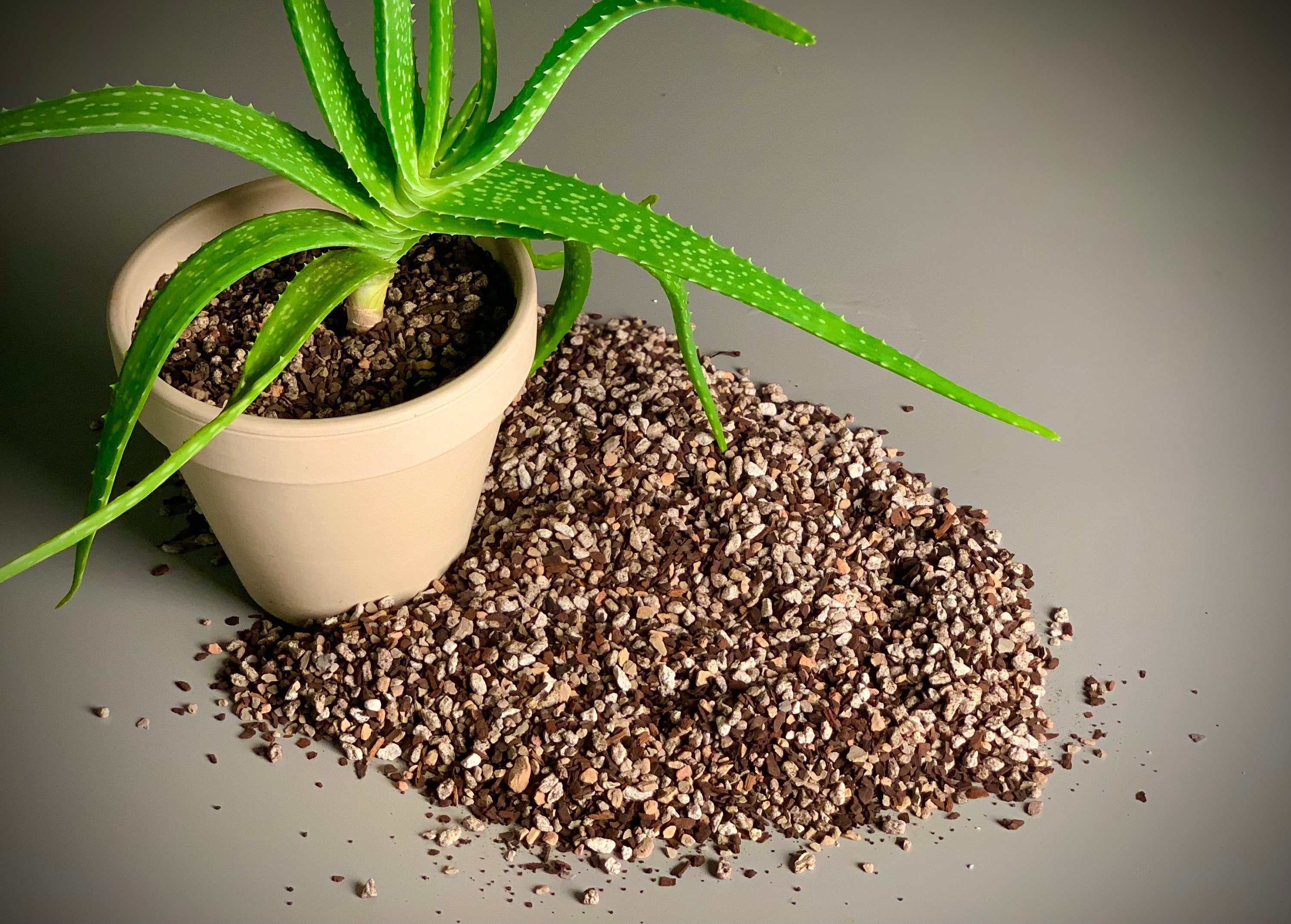 Succulent and Cactus Potting Mix - Etsy
