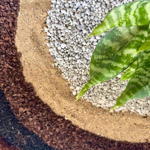 May include: Close-up of a layered composition featuring various textures and materials. The layers include dark mulch, brown bark, tan sand, and small white pebbles. Green and white striped snake plant leaves are in the upper right corner.