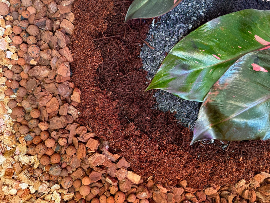 Philodendron Potting Mix - Etsy