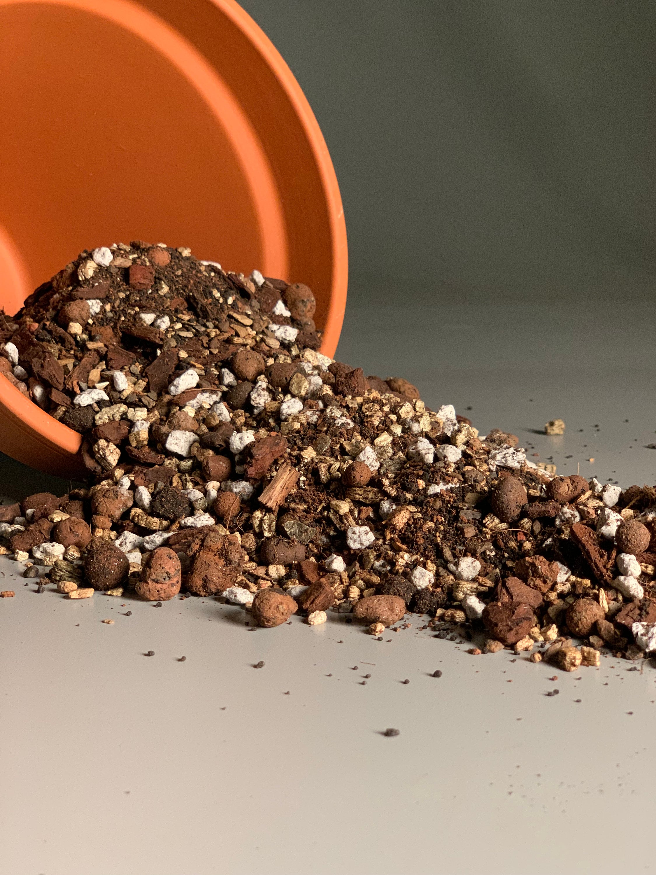 Jade Potting Mix Etsy