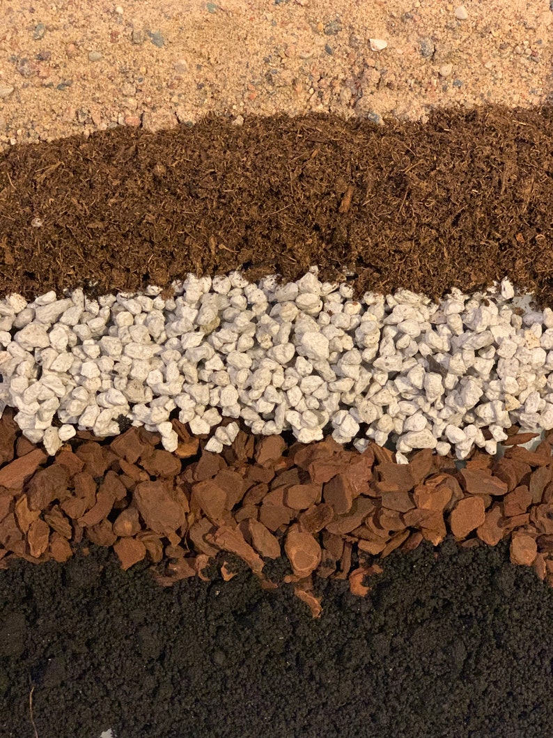 Plumeria Potting Mix Etsy