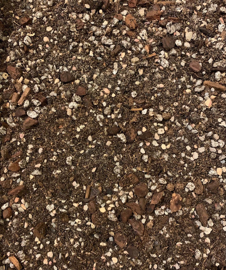 Plumeria Potting Mix Etsy