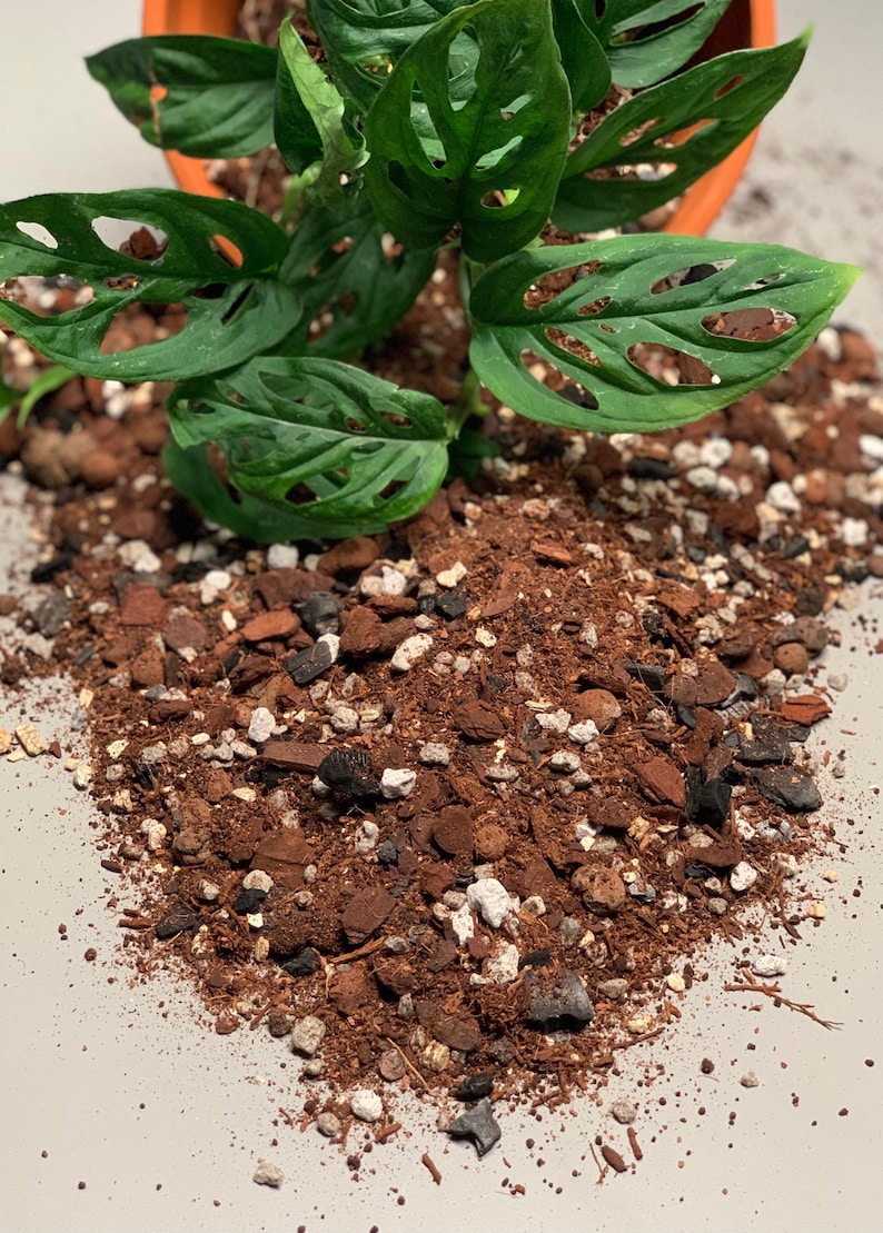 Monstera Potting Mix Etsy