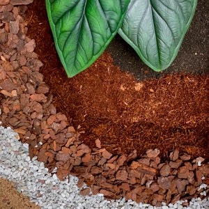 Aroid Potting Mix