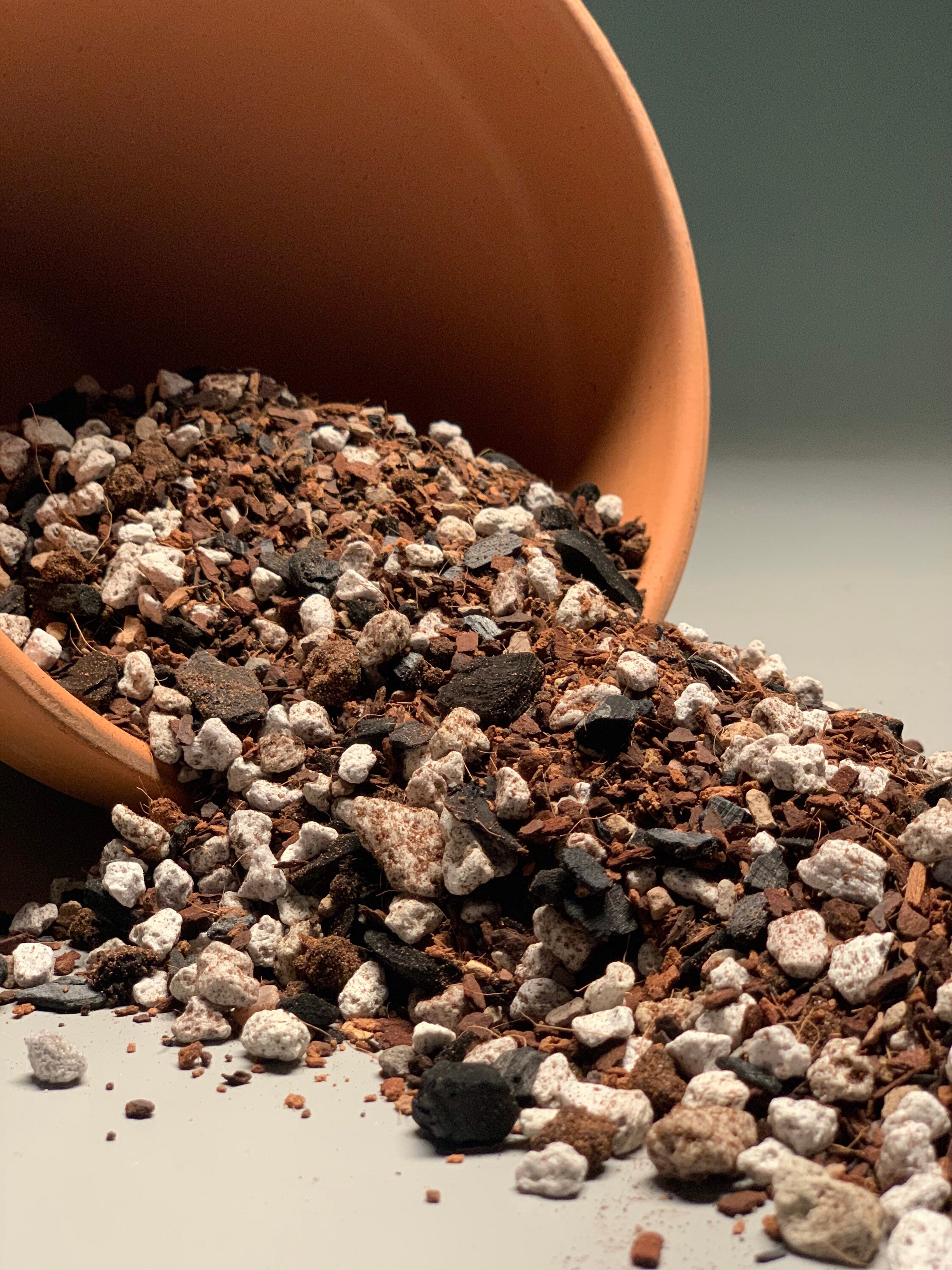 Snake Plant Potting Mix Etsy