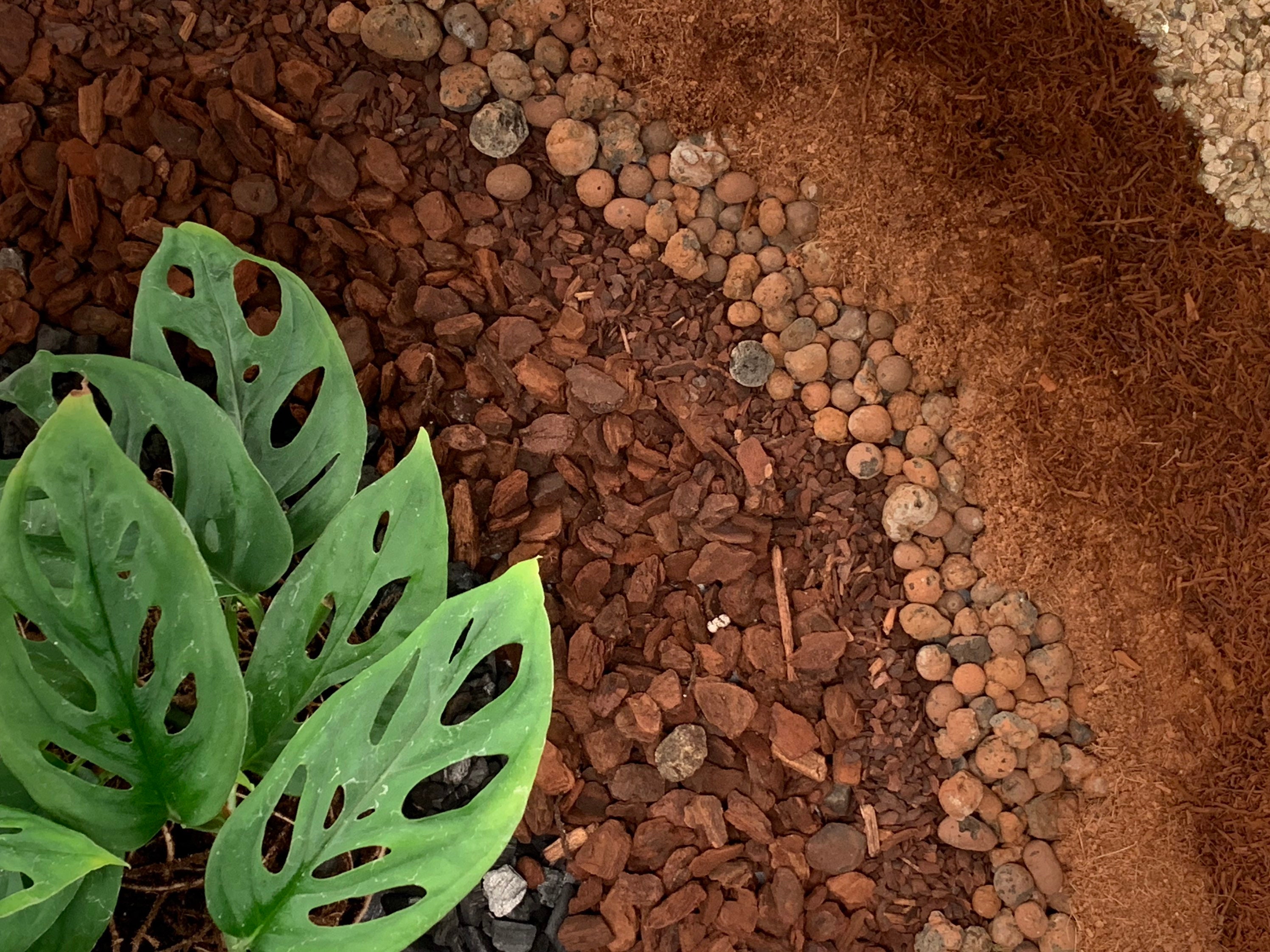 Monstera Potting Mix Etsy