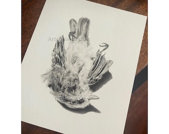 Bird portrait memento mori nature fine art print