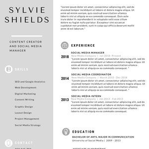 Modello di curriculum moderno / Curriculum unico / Bellissimo curriculum