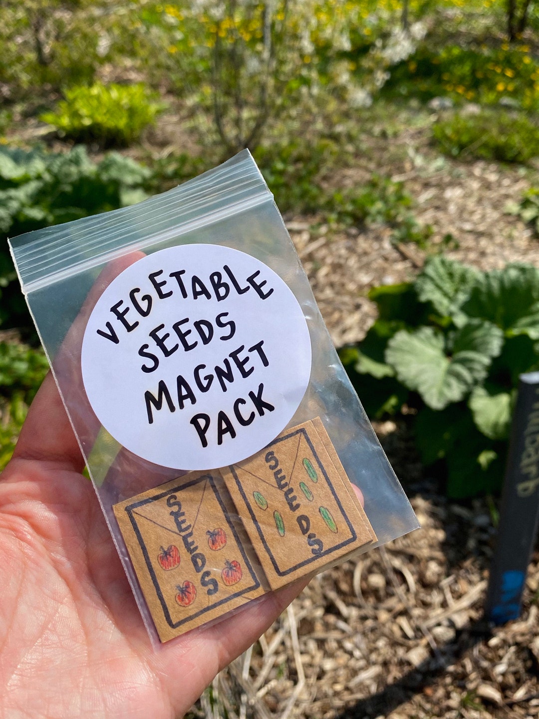 Vegetable Seeds Pack Etsy