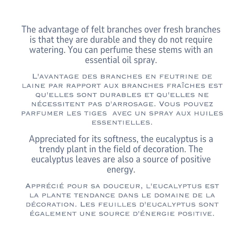 May include: A white informational card featuring dark gray text. The English text reads: The advantage of felt branches over fresh branches is that they are durable and they do not require watering. You can perfume these stems with an essential oil spray. Appreciated for its softness, the eucalyptus is a trendy plant in the field of decoration. The eucalyptus leaves are also a source of positive energy.