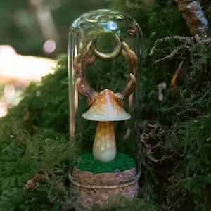 Pode incluir: Uma redoma de vidro caprichosa com uma escultura de cogumelo com um chapéu manchado de laranja e branco, colocada sobre uma cama de musgo verde. O cogumelo é adornado com uma lua crescente e detalhes semelhantes a chifres. A redoma repousa sobre uma base de cortiça.