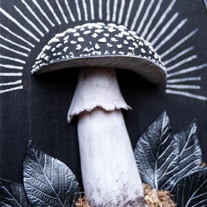 May include: A detailed, three-dimensional artwork featuring a black and white mushroom with a textured cap and stem. The mushroom is set against a black background with white radiating lines. Decorative leaves and moss are at the base.