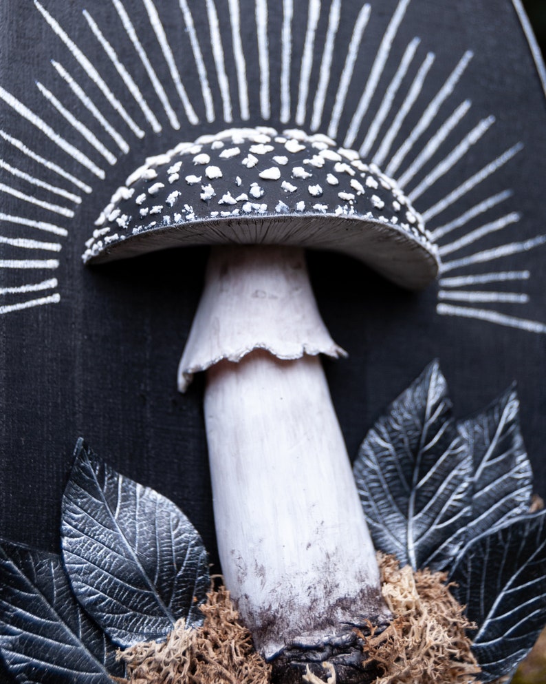 May include: A detailed, three-dimensional artwork featuring a black and white mushroom with a textured cap and stem. The mushroom is set against a black background with white radiating lines. Decorative leaves and moss are at the base.