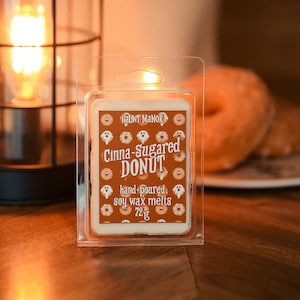 Candied Cinnamon by Northern Lights Wax Melts Pouch 4 oz