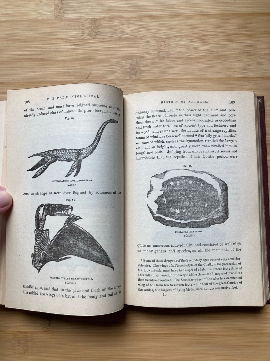 Antique Geology Book / Testimony of the Rocks by Hugh Miller, Hurst ...