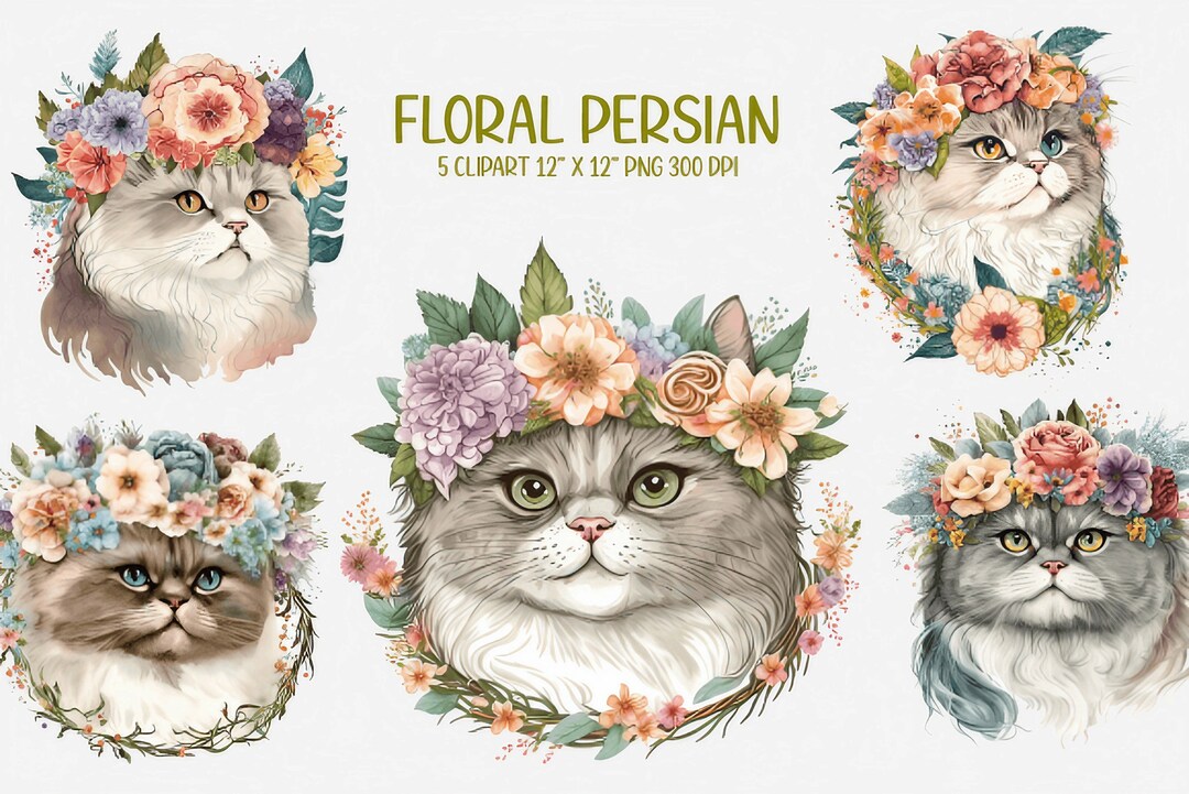 Watercolor Floral Persian Cat Clipart Instant Download - Etsy
