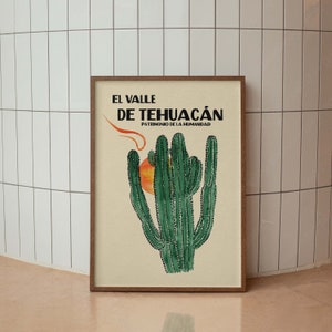 Vintage Mexiko Valle de Tehuacan Kaktus Plakat, Minimale Spanische Wandkunst, Buntes Modernes Plakat, Trendige Wandkunst, Westliche Dekoration, Mexiko Kunst