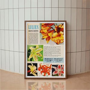Lilie Botanischer Garten Poster, Blumen Poster, Typografie Druck, Mid Century Modern, Minimal Kunstdruck, Retro Poster Druck, Blumen Magazin