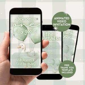 One Silly Goose First Birthday Invitation, Digital 1st Bday Gender Neutral Animated Invite, Editable Sage Green Gingham 1st Birthday Evite