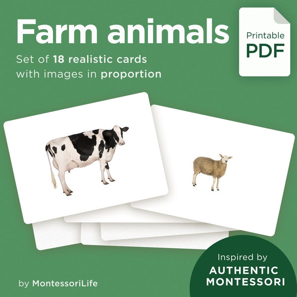 FARM ANIMALS, 18 Large Cards with Real Images & Proportions, Montessori toddler, Flash Nomenclature Cards, pdf printable