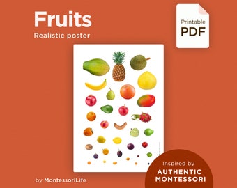 FRUITS Poster, Real Images & Proportions, Montessori Educational Learning Poster, pdf printable