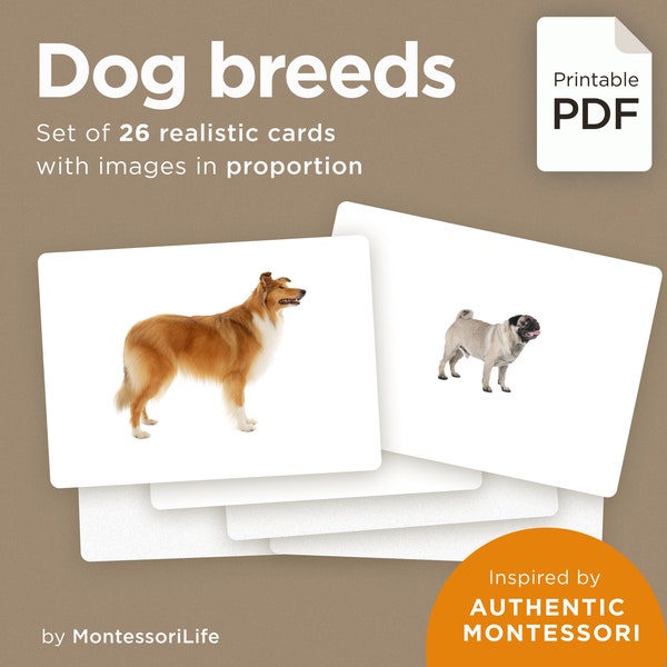 DOG BREEDS, 26 Large Cards with Real Images & Proportions, Montessori toddler, Flash Nomenclature Cards, pdf printable