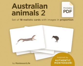AUSTRALIAN ANIMALS (set 2), 18 Large Cards with Real Images & Proportions, Montessori toddler, Flash Nomenclature Cards, PDF printable