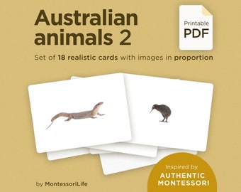 ANIMALES AUSTRALIANOS (set 2), 18 tarjetas grandes con imágenes y proporciones reales, Montessori para niños pequeños, tarjetas de nomenclatura Flash, PDF imprimible