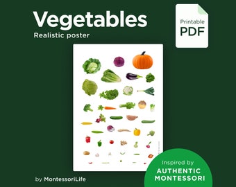 VEGETABLES Poster, Real Images & Proportions, Montessori Educational Learning Poster, pdf printable