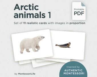 ARCTIC ANIMALS (set 1), 11 Large Cards with Real Images & Proportions, Montessori toddler, Flash Nomenclature Cards, Pdf printable