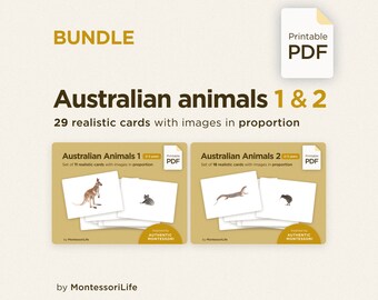ANIMALES AUSTRALIANOS (paquete), 29 tarjetas grandes con imágenes y proporciones reales, Montessori para niños pequeños, tarjetas de nomenclatura Flash, PDF imprimible