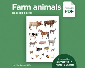FARM ANIMALS Poster, Real Images & Proportions, Montessori Educational Learning Poster, pdf printable