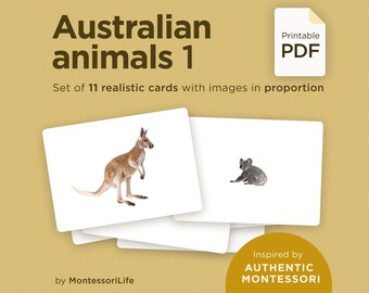 ANIMALES AUSTRALIANOS (conjunto 1), 11 tarjetas grandes con imágenes y proporciones reales, Montessori para niños pequeños, tarjetas de nomenclatura didáctica, PDF imprimible
