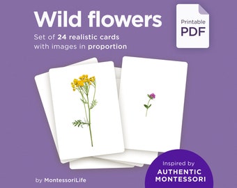 WILD FLOWERS, 24 Large Cards with Real Images & Proportions, Montessori toddler, Flash Nomenclature Cards, pdf printable