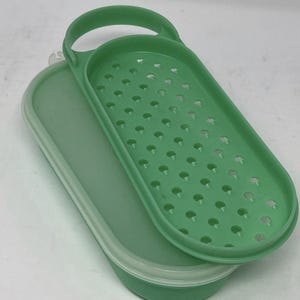 Puede incluir: Un recipiente de plástico verde para guardar alimentos con asa y bandeja perforada. El recipiente tiene una base verde claro y una tapa verde más oscura con asa. La tapa tiene muchos agujeros pequeños.