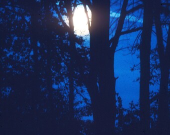 Blue Moon- a full winter moon color photography print available framed or photo only