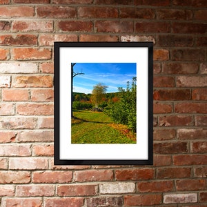 Autumn in New England foliage in an apple orchard color photography print available framed or photo only