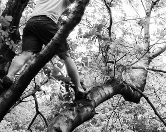 Black and White photography print of a young man climbing a tree framed or unframed