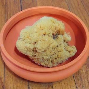 Natural sea sponge for home protection blessing remove negativity with charm mediumistic hoodoo Voodoo new year ritual cleansing seasponge