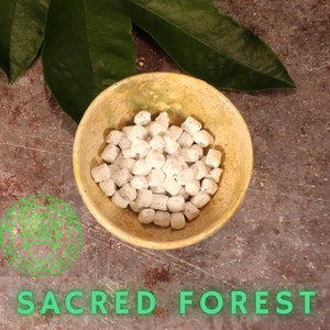 May include: A bowl of white incense cones in a yellow and green ceramic bowl. The bowl is sitting on a brown surface with a green leaf in the background. The text "SACRED FOREST" is printed in green letters below the bowl.